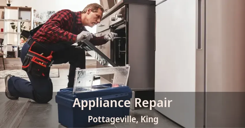 Appliance Repair Pottageville, King - ON