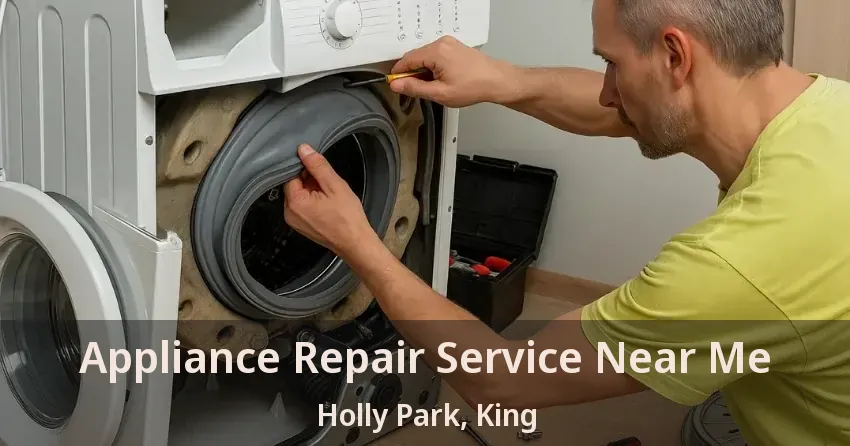Appliance Repair Service Near Me Holly Park, King - ON