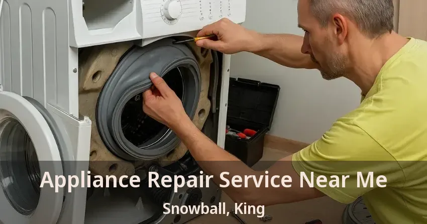 Appliance Repair Service Near Me Snowball, King - ON
