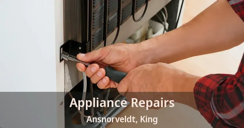 Appliance Repairs Ansnorveldt, King - ON