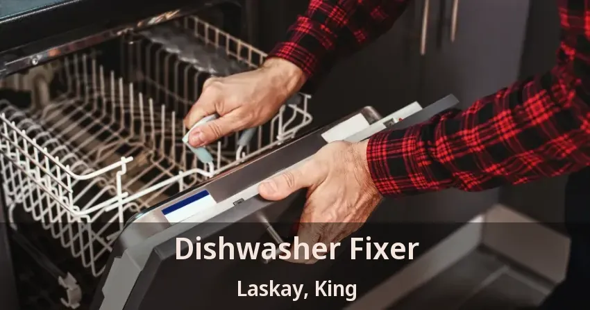 Dishwasher Fixer Laskay, King - ON