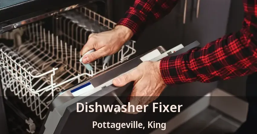 Dishwasher Fixer Pottageville, King - ON