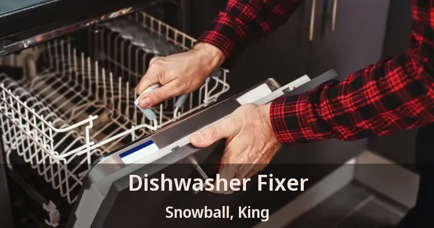 Dishwasher Fixer Snowball, King - ON