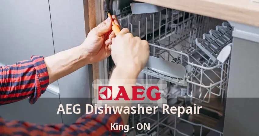 AEG Dishwasher Repair King - ON
