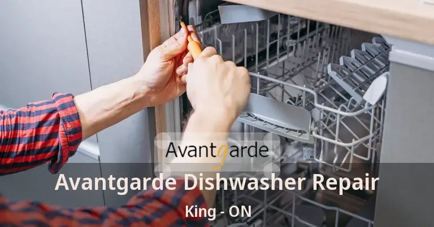 Avantgarde Dishwasher Repair King - ON