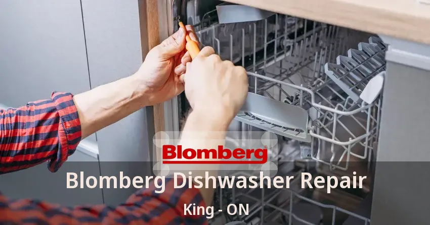 Blomberg Dishwasher Repair King - ON