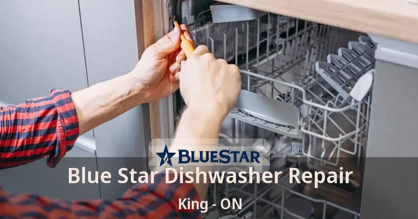 Blue Star Dishwasher Repair King - ON