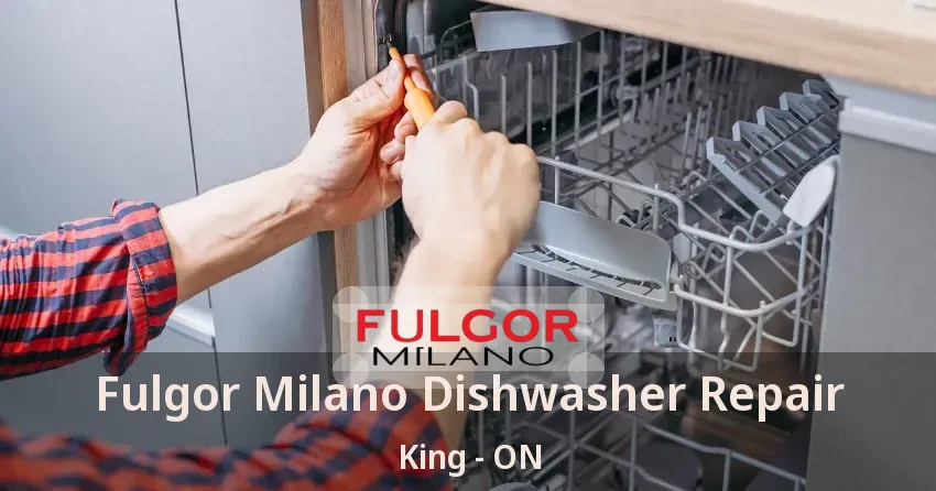 Fulgor Milano Dishwasher Repair King - ON