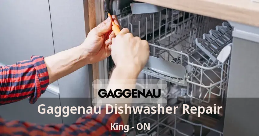 Gaggenau Dishwasher Repair King - ON