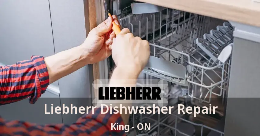 Liebherr Dishwasher Repair King - ON