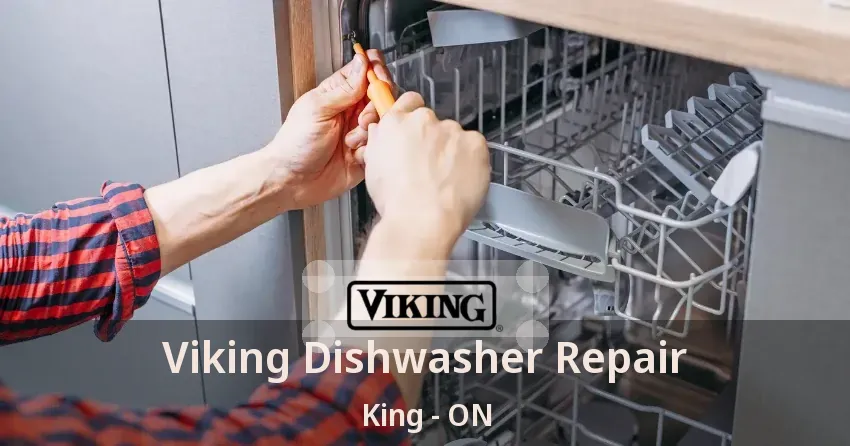 Viking Dishwasher Repair King - ON
