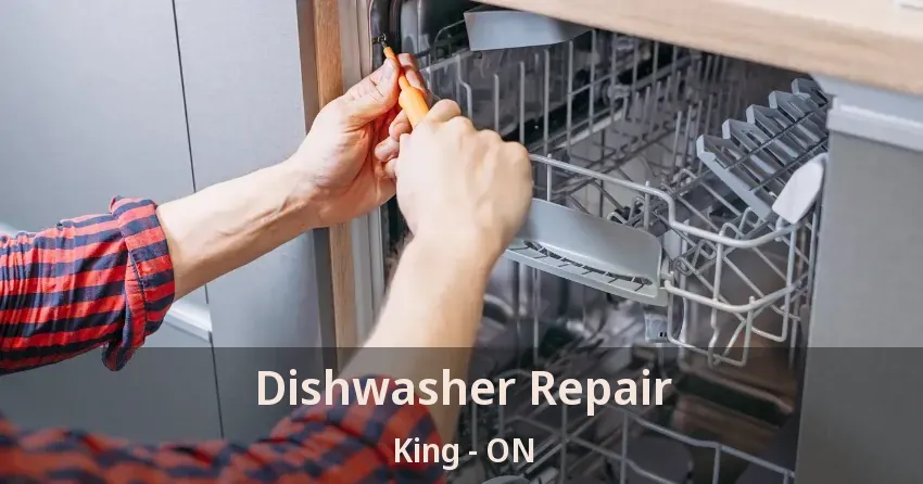 Dishwasher Repair King - ON