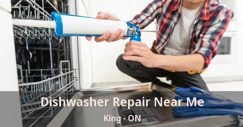 Dishwasher Repair Near Me King - ON