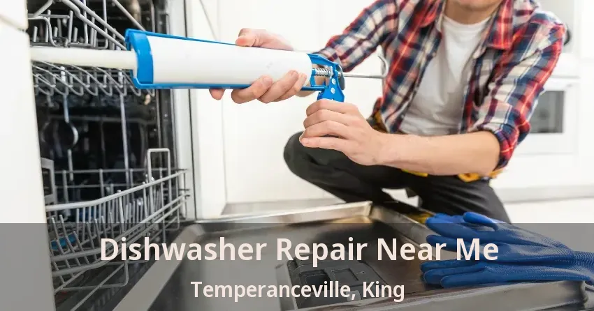 Dishwasher Repair Near Me Temperanceville, King - ON