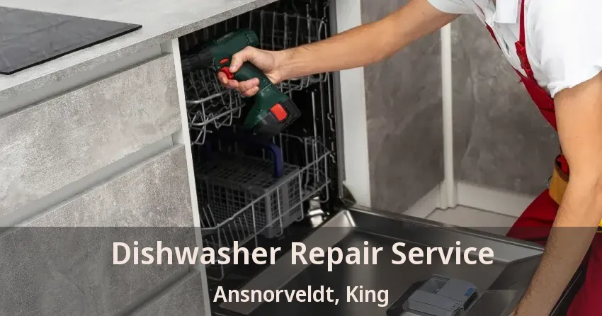 Dishwasher Repair Service Ansnorveldt, King - ON