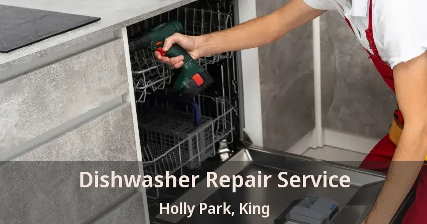 Dishwasher Repair Service Holly Park, King - ON