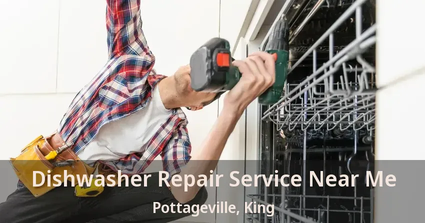 Dishwasher Repair Service Near Me Pottageville, King - ON