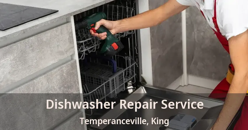 Dishwasher Repair Service Temperanceville, King - ON