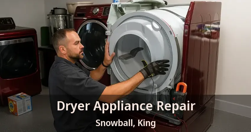 Dryer Appliance Repair Snowball, King - ON