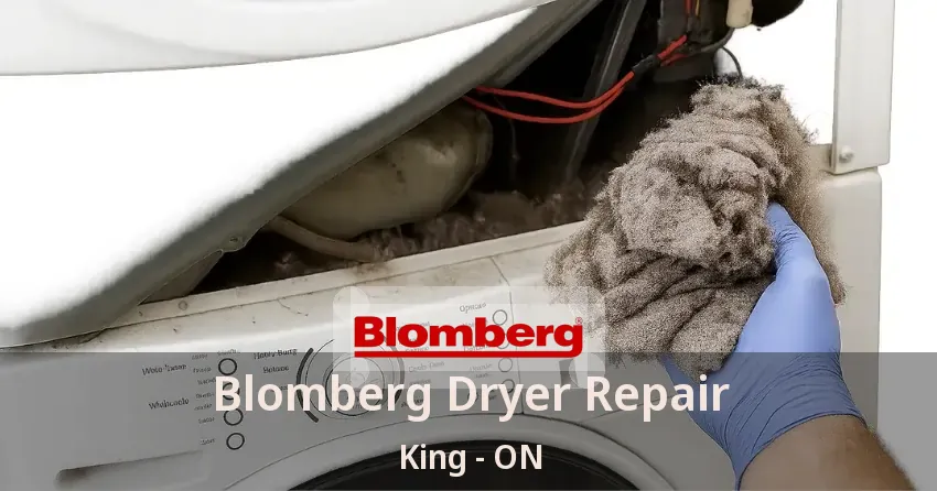 Blomberg Dryer Repair King - ON
