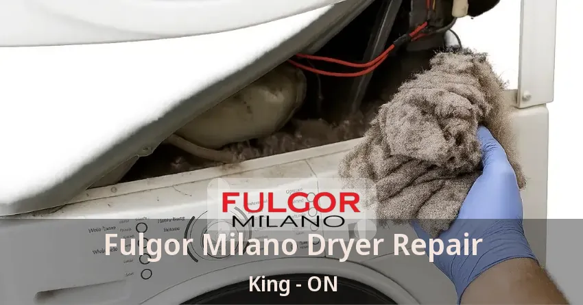 Fulgor Milano Dryer Repair King - ON