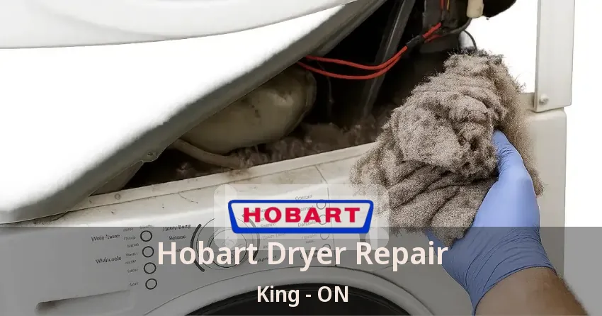 Hobart Dryer Repair King - ON