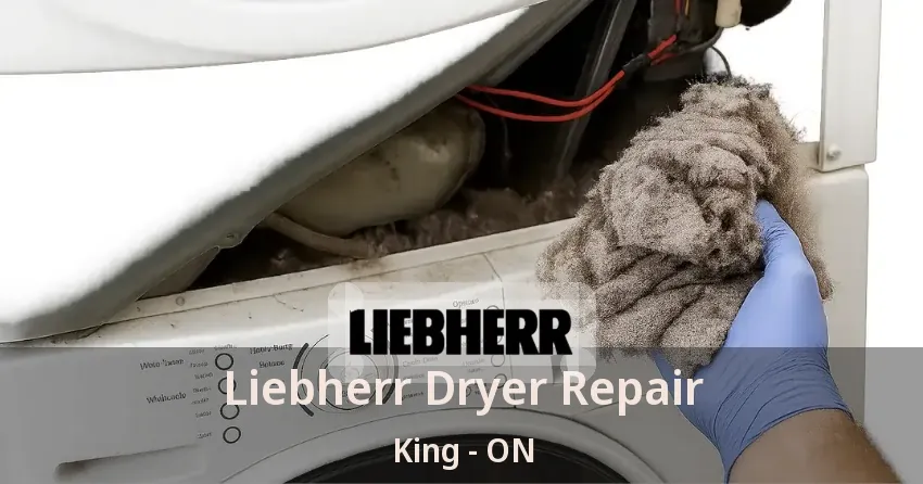 Liebherr Dryer Repair King - ON