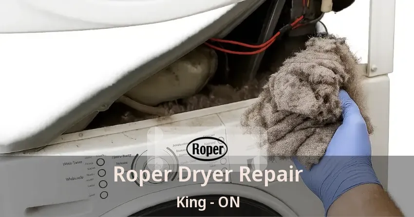 Roper Dryer Repair King - ON