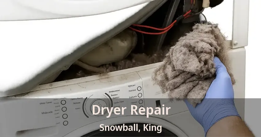 Dryer Repair Snowball, King - ON