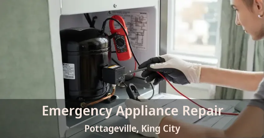Emergency Appliance Repair Pottageville, King City - ON