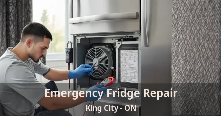 Emergency Fridge Repair King City - ON