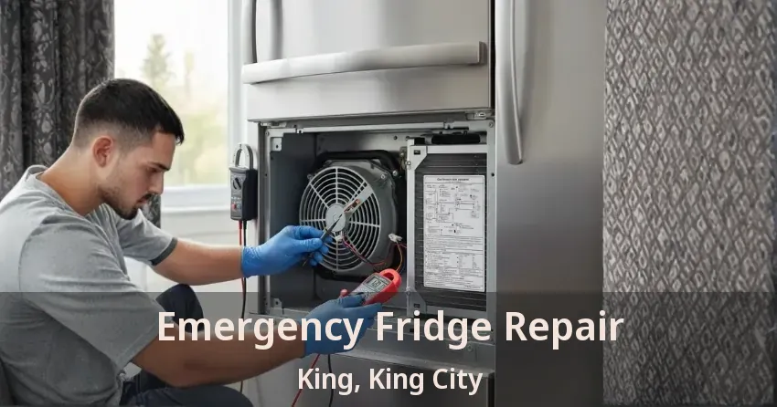 Emergency Fridge Repair King, King City - ON