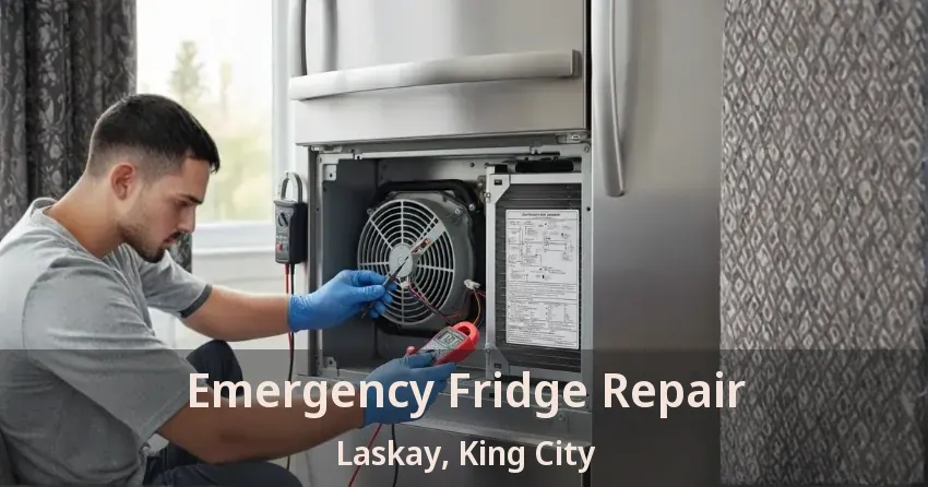 Emergency Fridge Repair Laskay, King City - ON