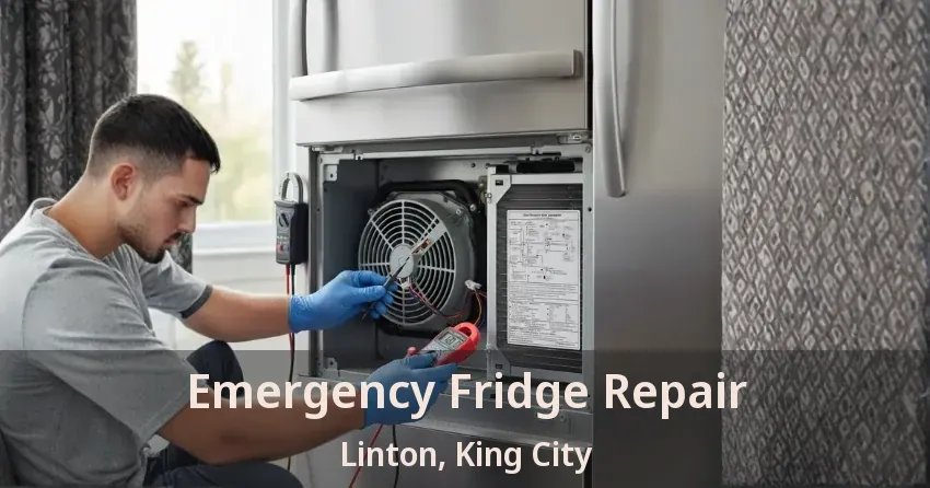 Emergency Fridge Repair Linton, King City - ON