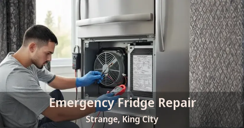 Emergency Fridge Repair Strange, King City - ON