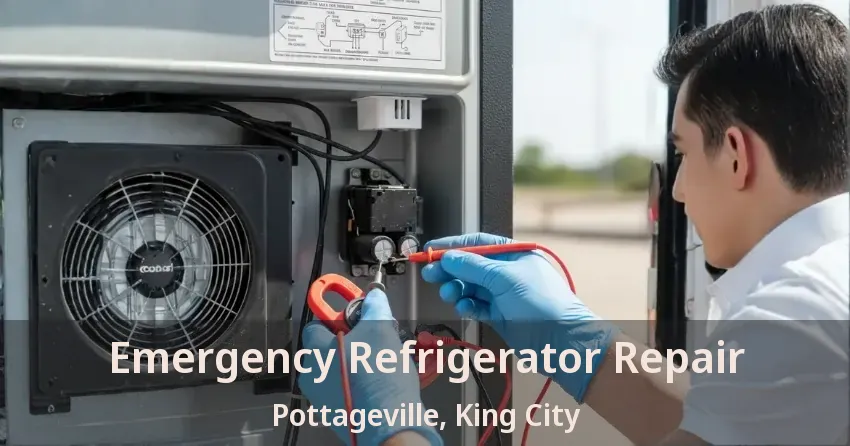 Emergency Refrigerator Repair Pottageville, King City - ON