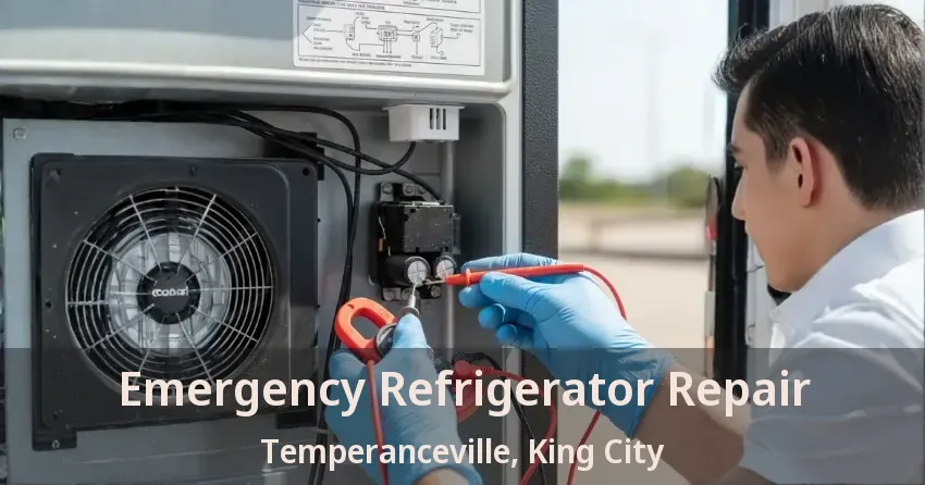 Emergency Refrigerator Repair Temperanceville, King City - ON