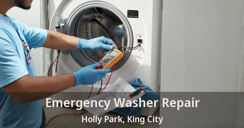 Emergency Washer Repair Holly Park, King City - ON