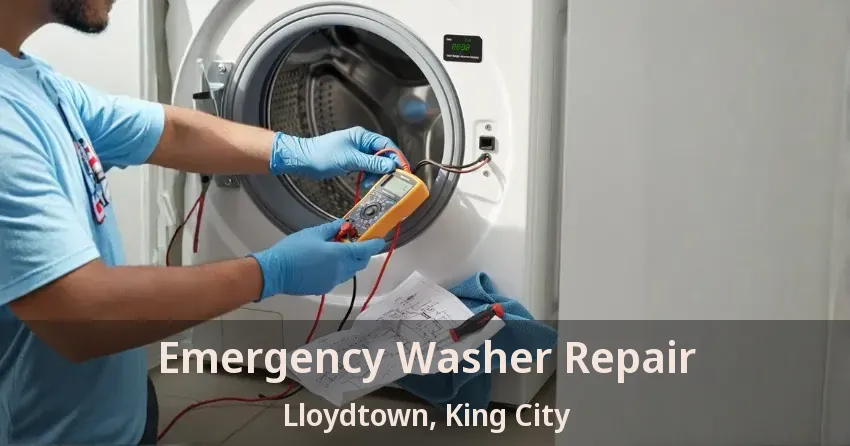 Emergency Washer Repair Lloydtown, King City - ON