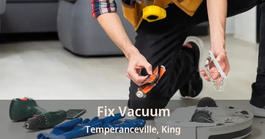 Fix Vacuum Temperanceville, King - ON