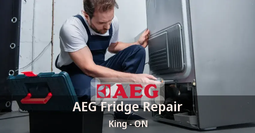 AEG Fridge Repair King - ON