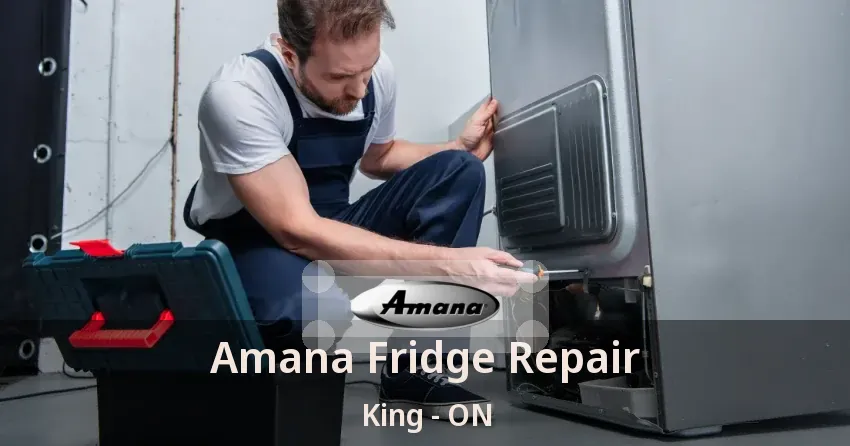 Amana Fridge Repair King - ON