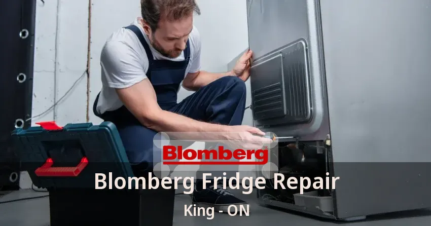 Blomberg Fridge Repair King - ON