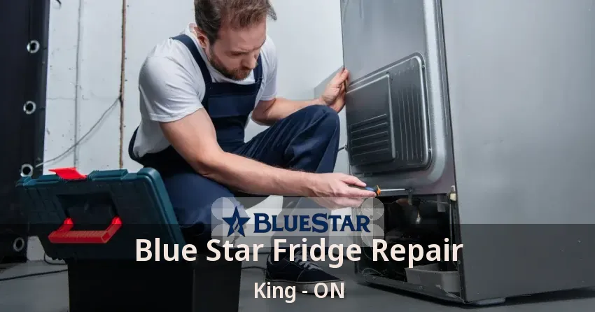 Blue Star Fridge Repair King - ON