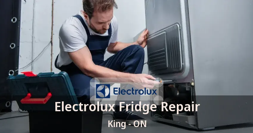 Electrolux Fridge Repair King - ON
