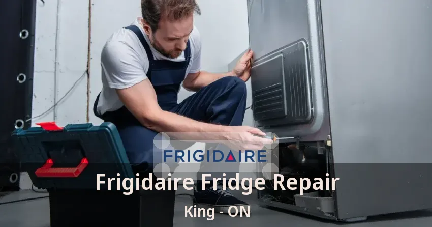 Frigidaire Fridge Repair King - ON