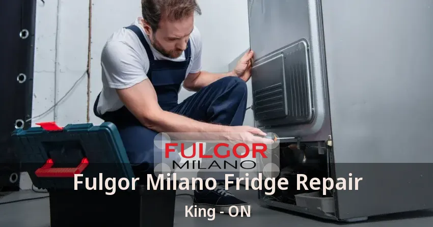 Fulgor Milano Fridge Repair King - ON