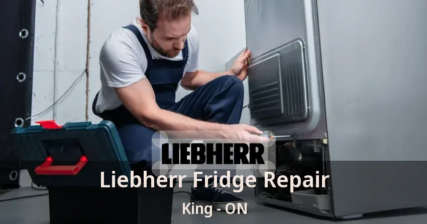 Liebherr Fridge Repair King - ON