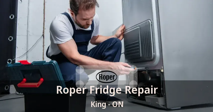 Roper Fridge Repair King - ON