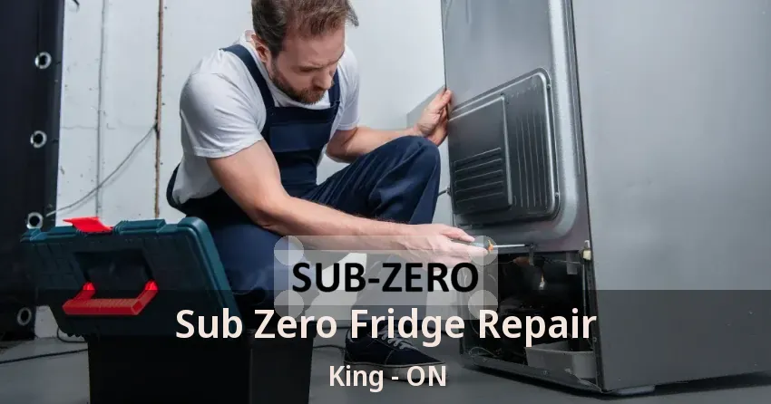 Sub Zero Fridge Repair King - ON